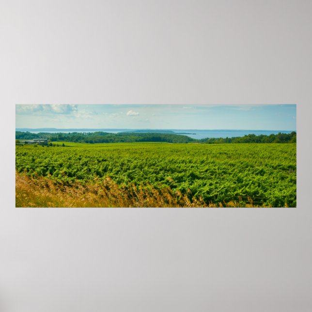 Affiche Old Mission Peninsula, Michigan (Devant)