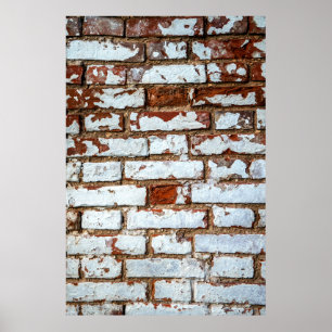Affiche Old vintage brick wall with sprinkled white plaste