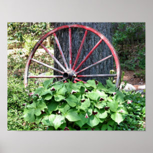 Affiche Old Wagon Wheel Trillium Flower Garden