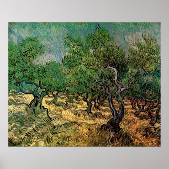 Affiche Olive Grove par Vincent van Gogh (Devant)