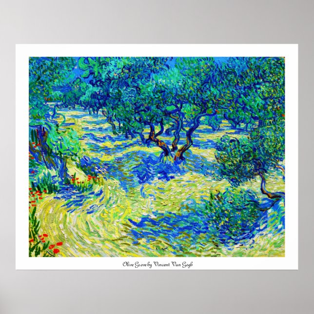 Affiche Olive Grove par Vincent Van Gogh (Devant)