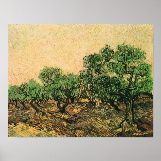 Affiche Olive Picking Van Gogh Fine Art (Devant)