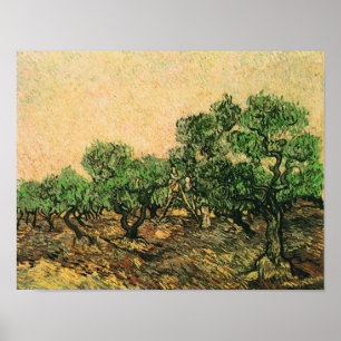 Affiche Olive Picking Van Gogh Fine Art