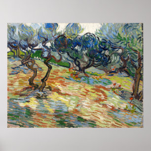 Affiche Olive Trees par Vincent Van Gogh