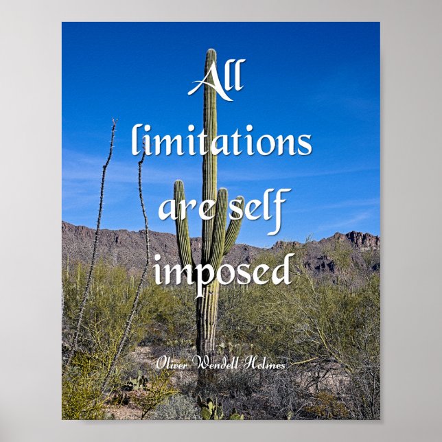 Affiche Oliver Wendell Holmes, Limitations (Devant)