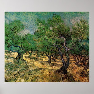 Affiche Oliveraie par Vincent van Gogh