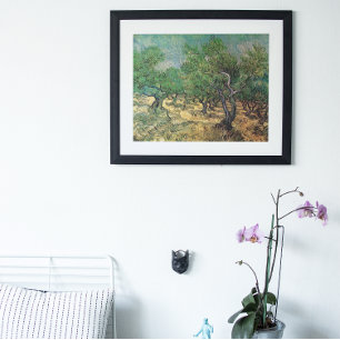 Affiche Oliveraie par Vincent van Gogh, Beaux-Arts Vintage