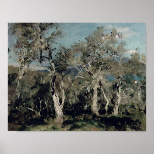 Affiche Oliviers, Corfou, 1912