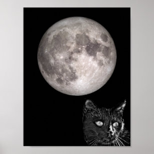 Affiche Ombre de chat noir