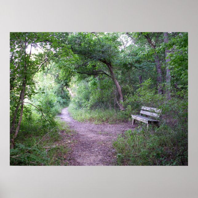 Affiche Ombre de l'après-midi dans la forêt (Devant)