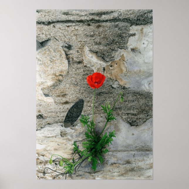 Affiche Ombre ronde unique (Devant)