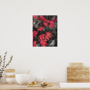 Affiche Ombres de feuilles d'érable japonais rouges