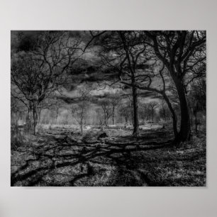 Affiche Ombres infrarouges de paysage dans les bois