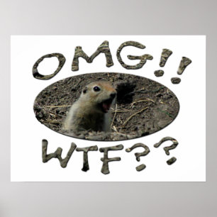 Affiche OMG WTF Gopher
