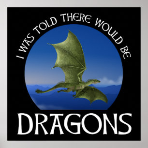 Affiche On m'a dit qu'il y aurait des dragons