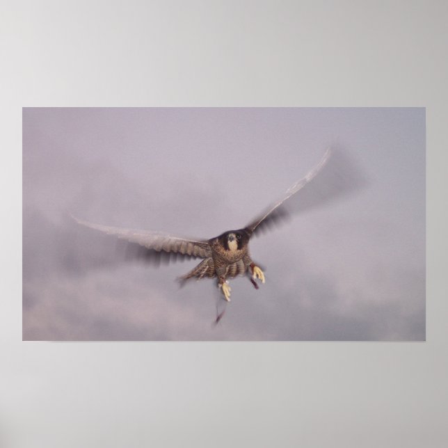 Affiche On ne peut pas arrêter le tonnerre... (Devant)