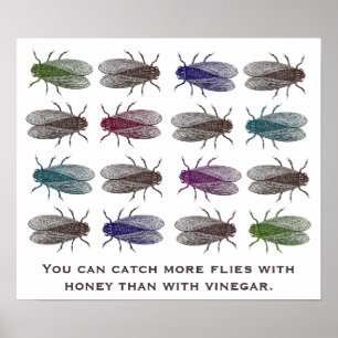 Affiche On peut attraper plus de mouches avec du miel que