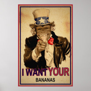 Affiche Oncle Monkey