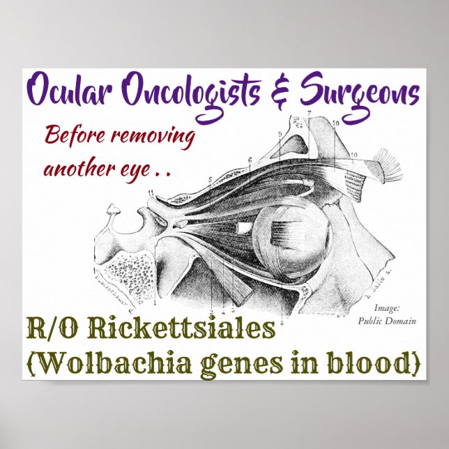 Affiche Oncologistes oculaires/chirurgiens R/O Wolbachia p (Devant)