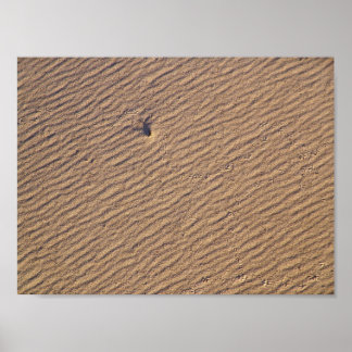 Affiche Ondes de vent dans le sable VI - Couleur saturée