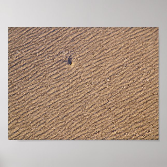 Affiche Ondes de vent dans le sable VI - Couleur saturée (Devant)