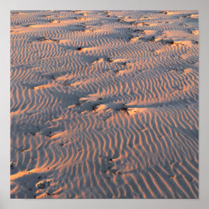 Affiche ondulation de sable