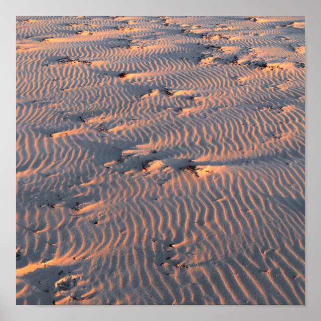 Affiche ondulation de sable (Devant)