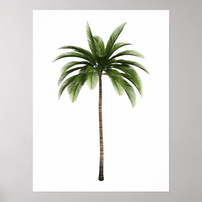 Affiche One Palm Tree Tropical Beach Island Art Simple Amu (Devant)