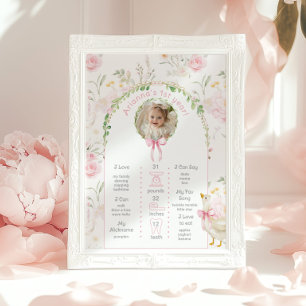 Affiche One Silly Goose 1er Anniversaire photo de fête Jal