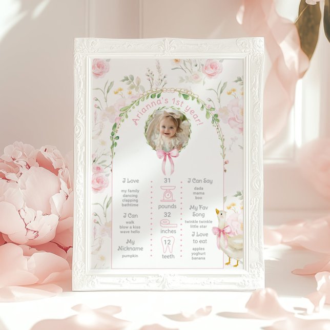 Affiche One Silly Goose 1er Anniversaire photo de fête Jal (Créateur téléchargé)