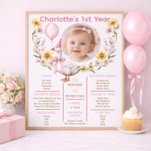 One Silly Goose Photo 1st Birthday Milestone 