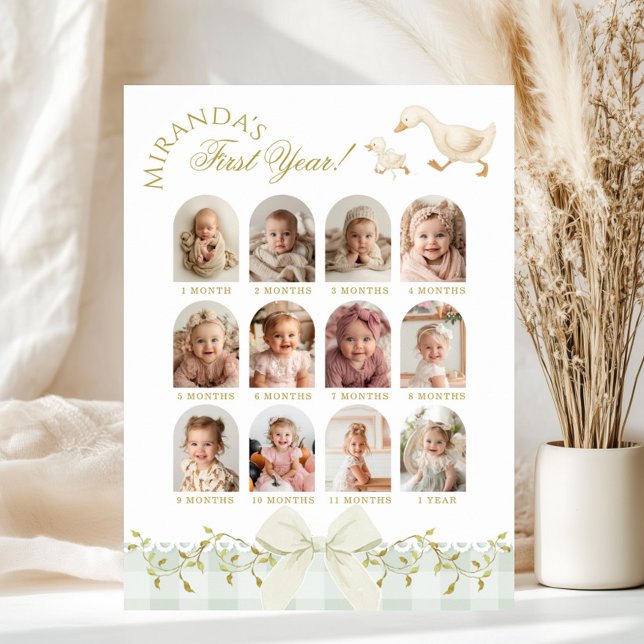 Affiche One Silly Goose Sage 1st Birthday Photo Milestone (Créateur téléchargé)