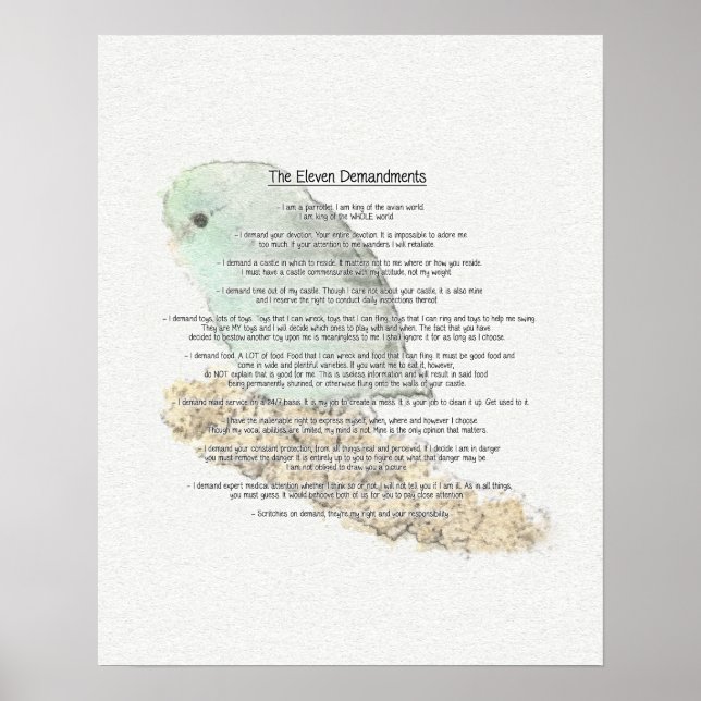 Affiche Onze Demandes De Parrotlets (Devant)