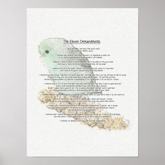 Affiche Onze Demandes De Parrotlets (Devant)