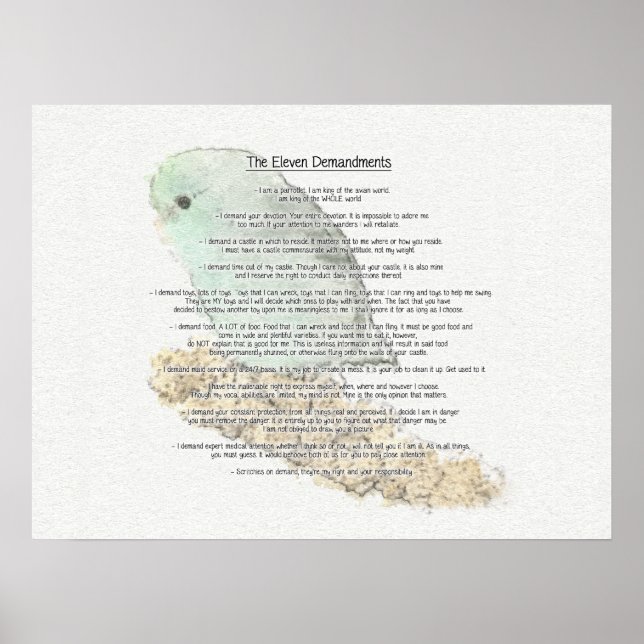 Affiche Onze Demandes De Parrotlets (Devant)