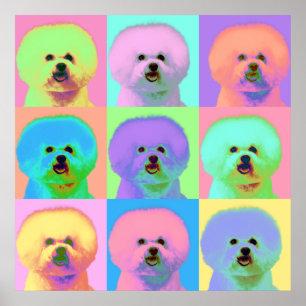 Affiche Op Art - Bichon Frise - Cody