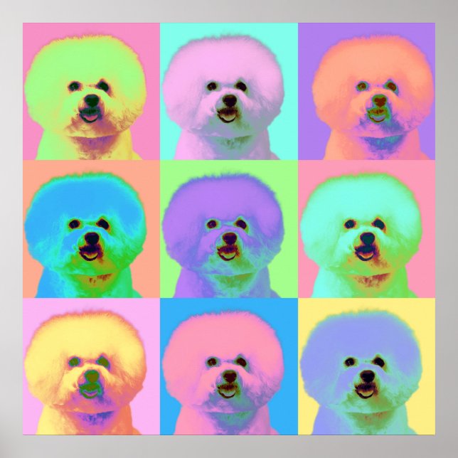 Affiche Op Art - Bichon Frise - Cody (Devant)
