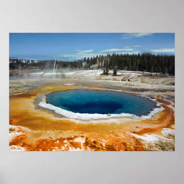 Affiche Opal Pool (Devant)