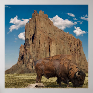 Affiche Open Country