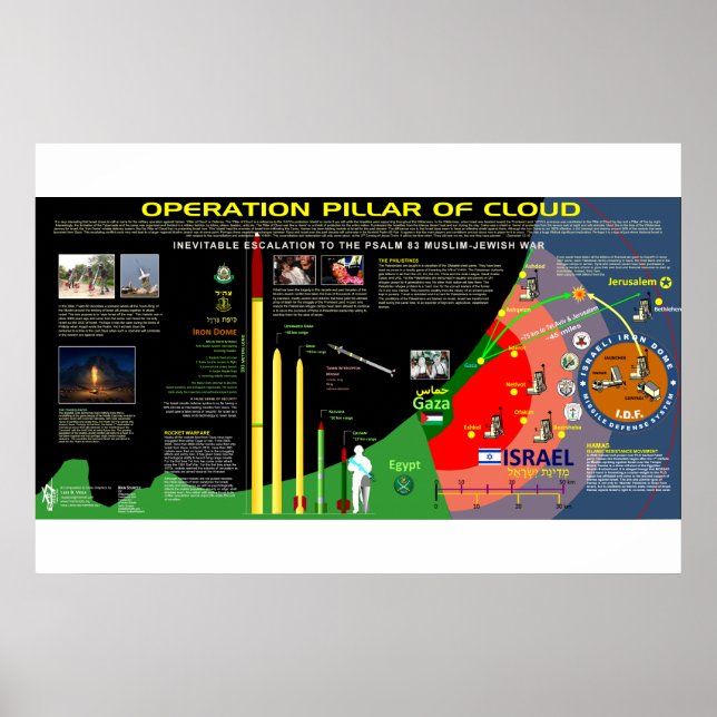 Affiche Operation Pillar of Cloud (Devant)