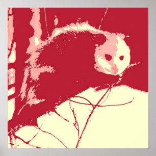 Affiche Opossum
