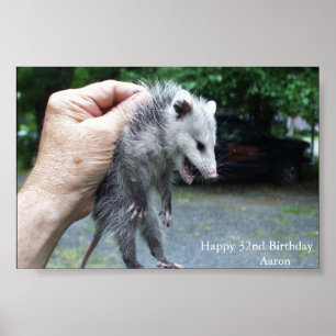 Affiche Opossum de Crazzzy