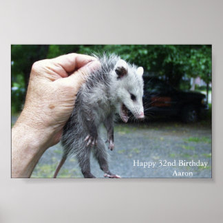 Affiche Opossum fou