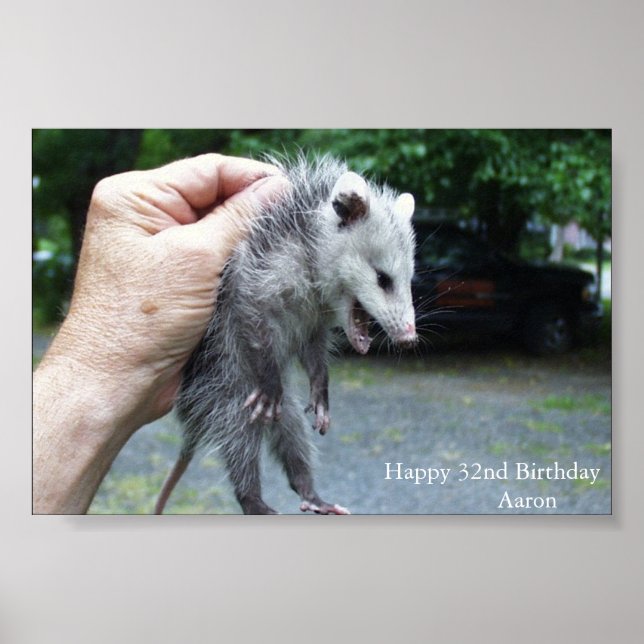Affiche Opossum fou (Devant)