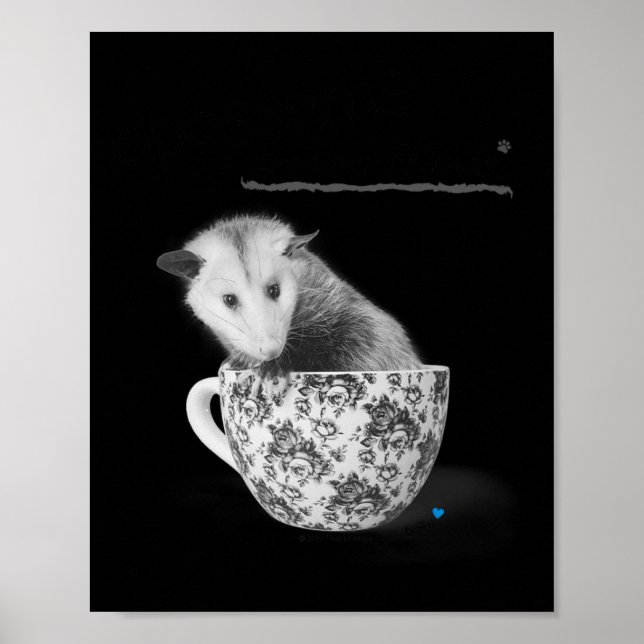 Affiche Opossum sont vos amis (Devant)