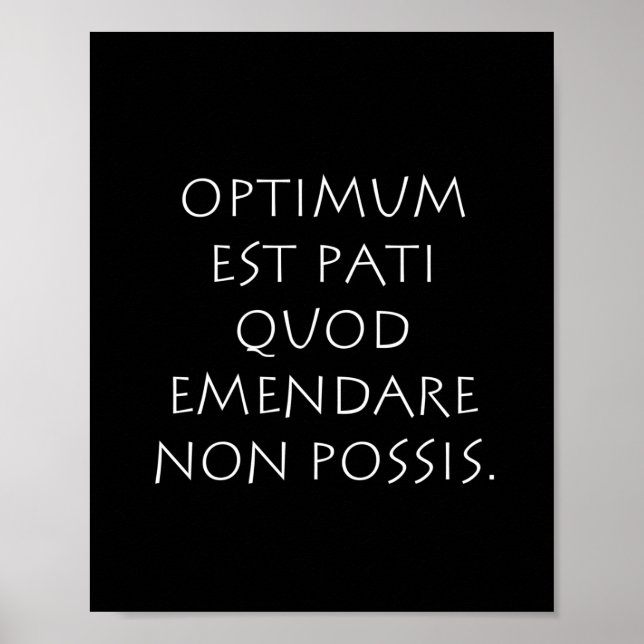 Affiche Optimum est kinsella quod emendare non possible (Devant)