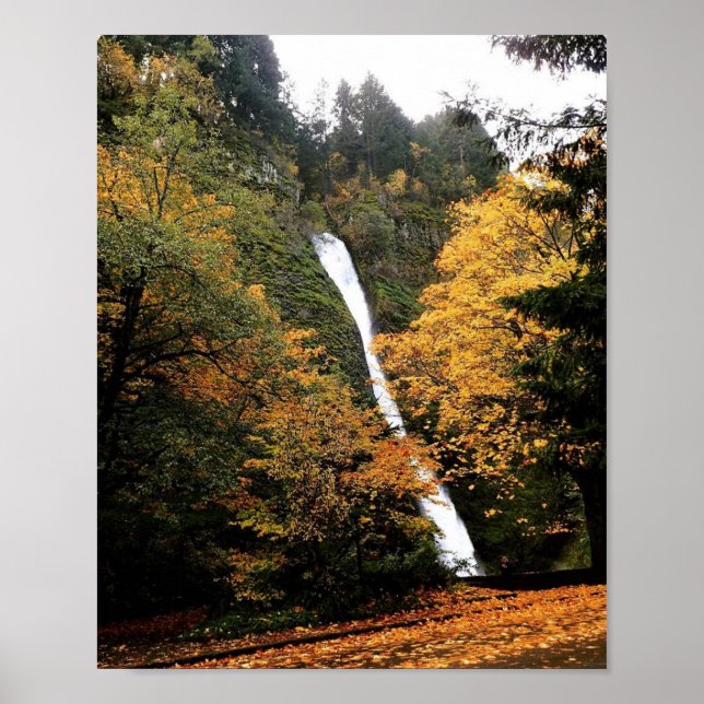 AFFICHE OR (Devant)