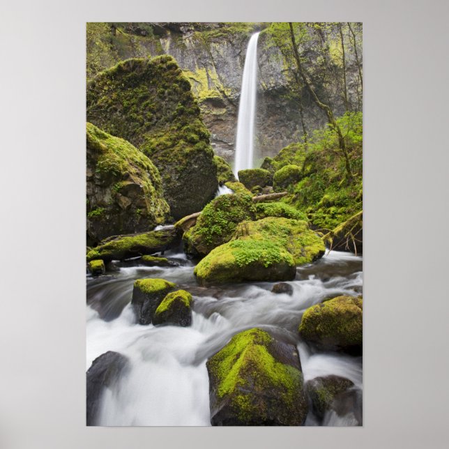 Affiche OR, Columbia River Gorge, Elowah Falls et (Devant)