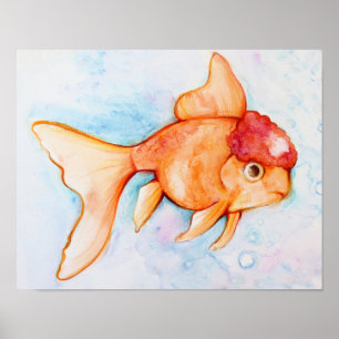 Affiche Oranda Goldfish