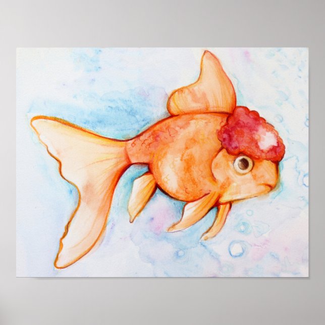 Affiche Oranda Goldfish (Devant)